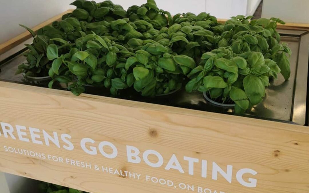 Al Salone Nautico con Free to X | Genova