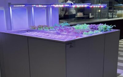 Bistrot Casa Lavazza sceglie Agricooltur