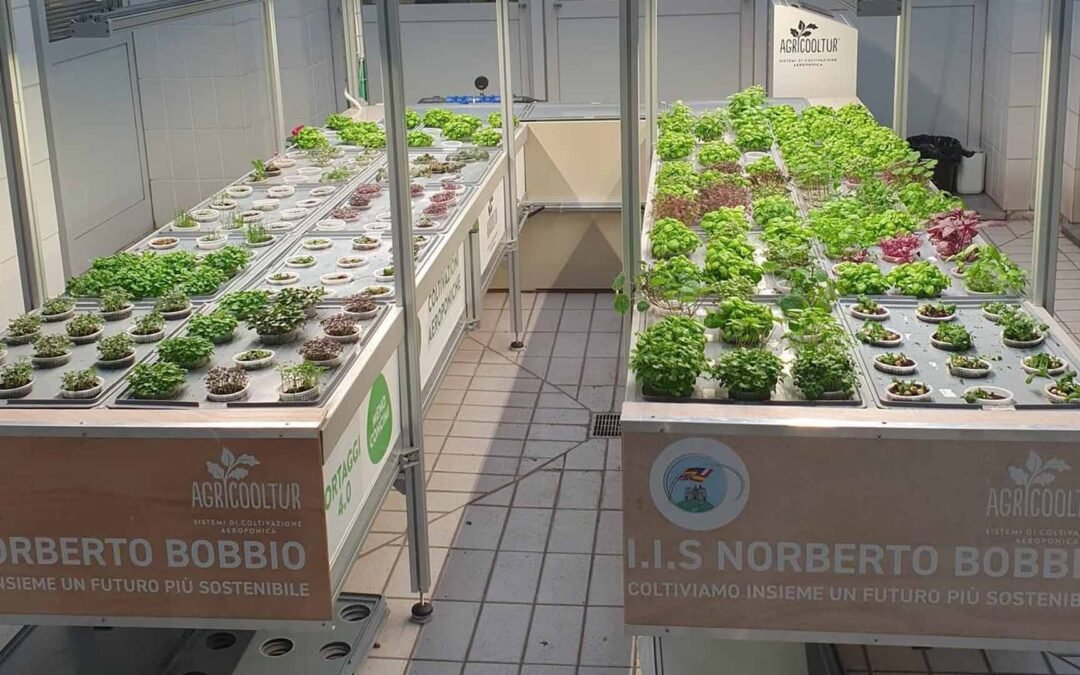 Serra didattica indoor PRESSO L’IIS N. Bobbio DI Carignano (TO)