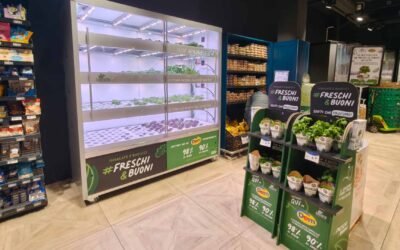 Coltivare in store: il progetto Agricooltur® con Supermercati Dem