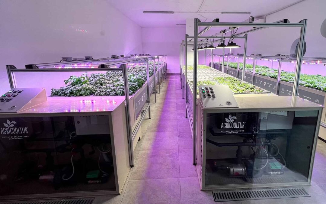 Forrest in Town: il primo condominio con orto aeroponico condiviso